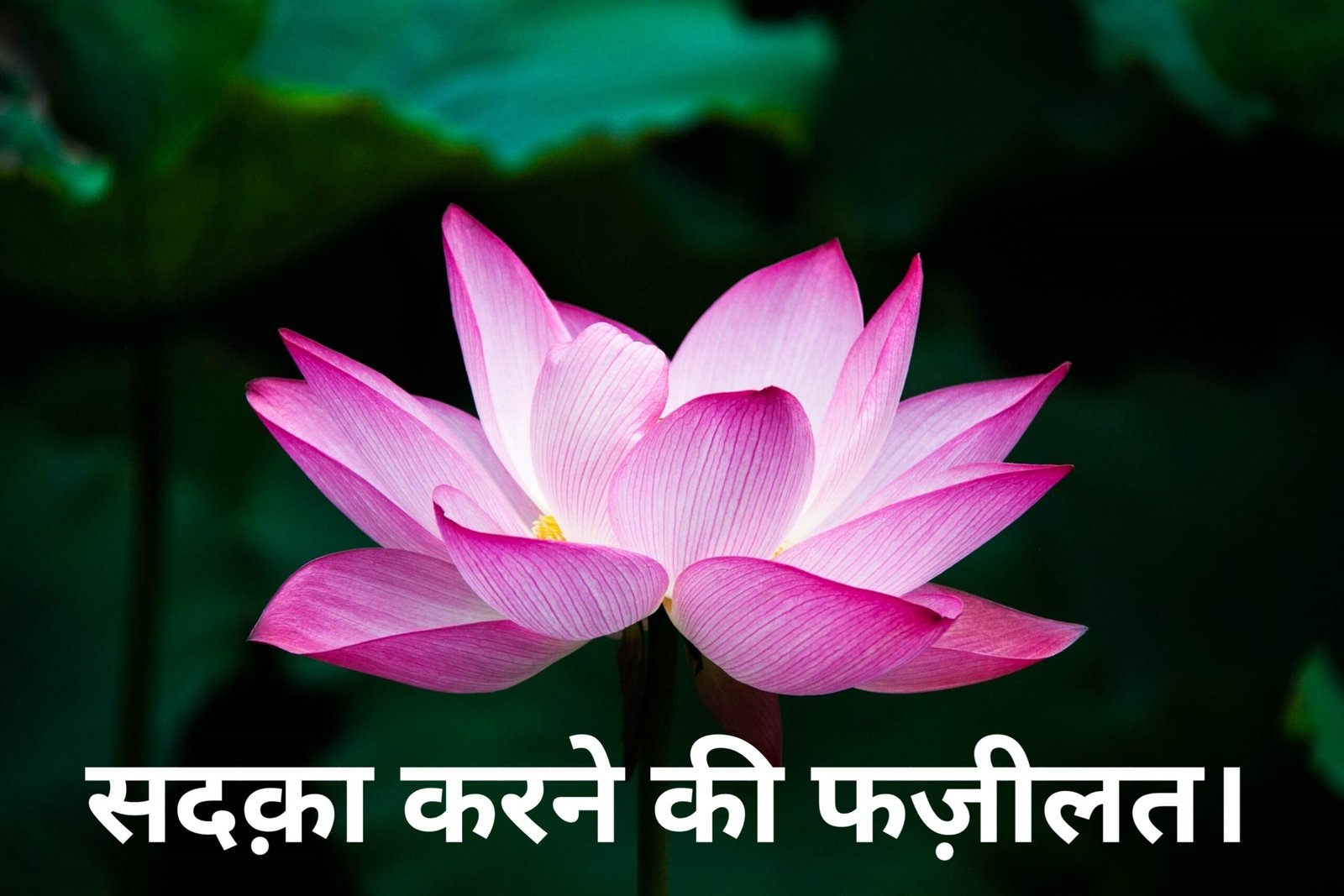 Sadqa karne ki fazilat.