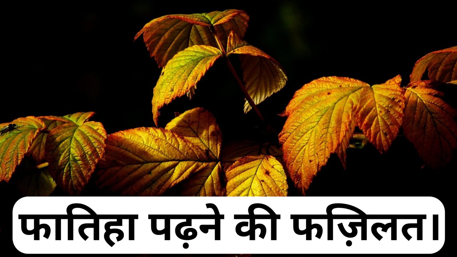Fatiha padhne ki fazilat