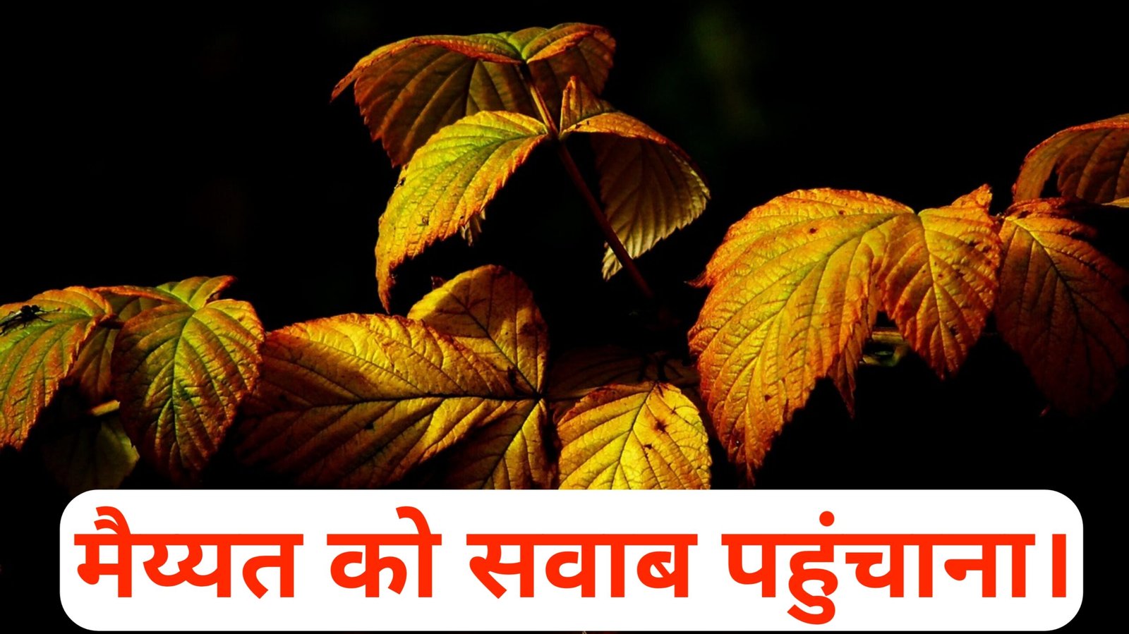 Mayyat ko sawab pahuchana