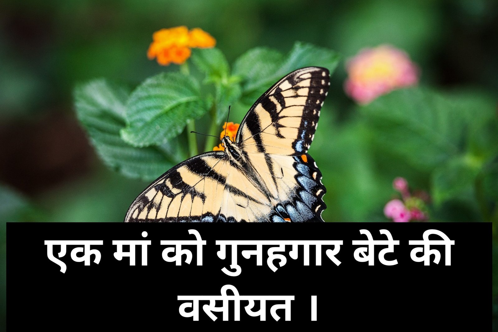 Ek Maa ko Gunahgar bete ki Wasiyat