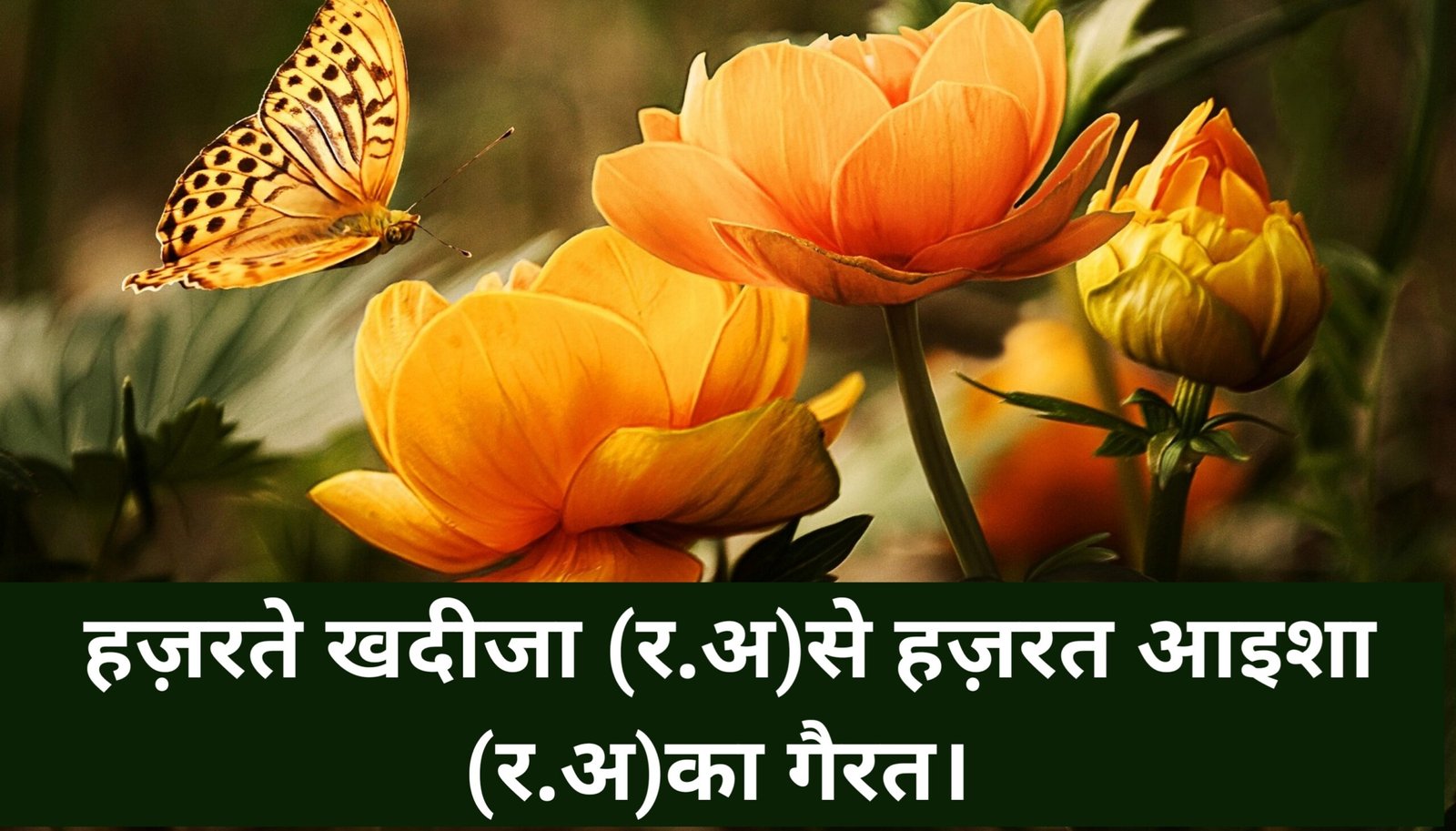 Hazrat khadija se Hazrat ayesha ka gairat