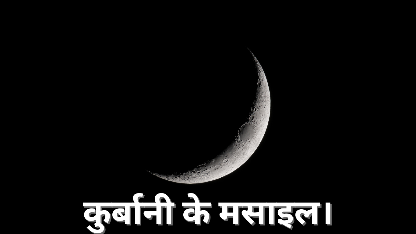 कुर्बानी के मसाइल। 20250522 163120 0000