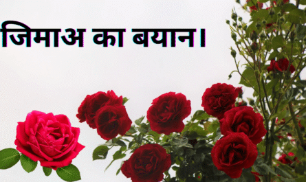 जिमाअ का बयान। 20250501 112612 0000