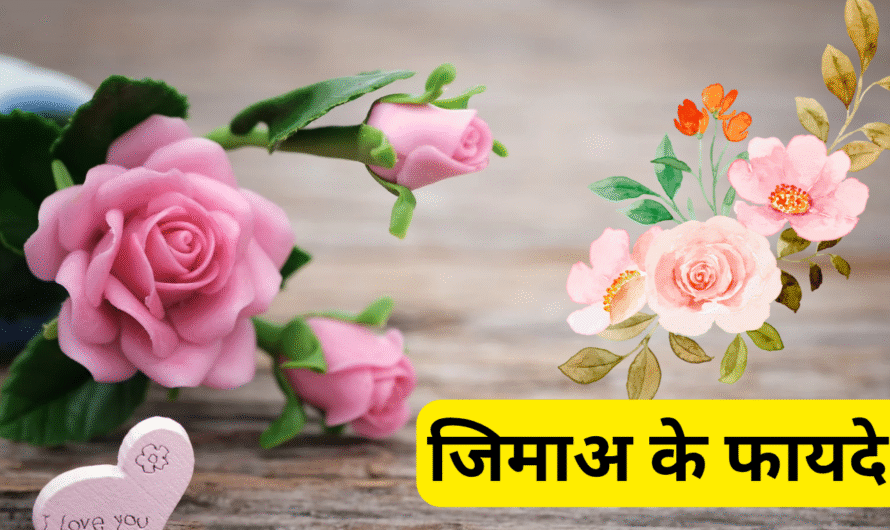जिमाअ के फायदे। Jima ke fayde.
