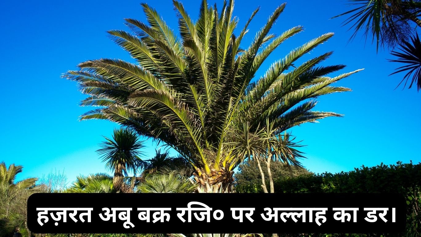 हज़रत अबू बक्र रजि० पर अल्लाह का डर। 20250611 155514 0000