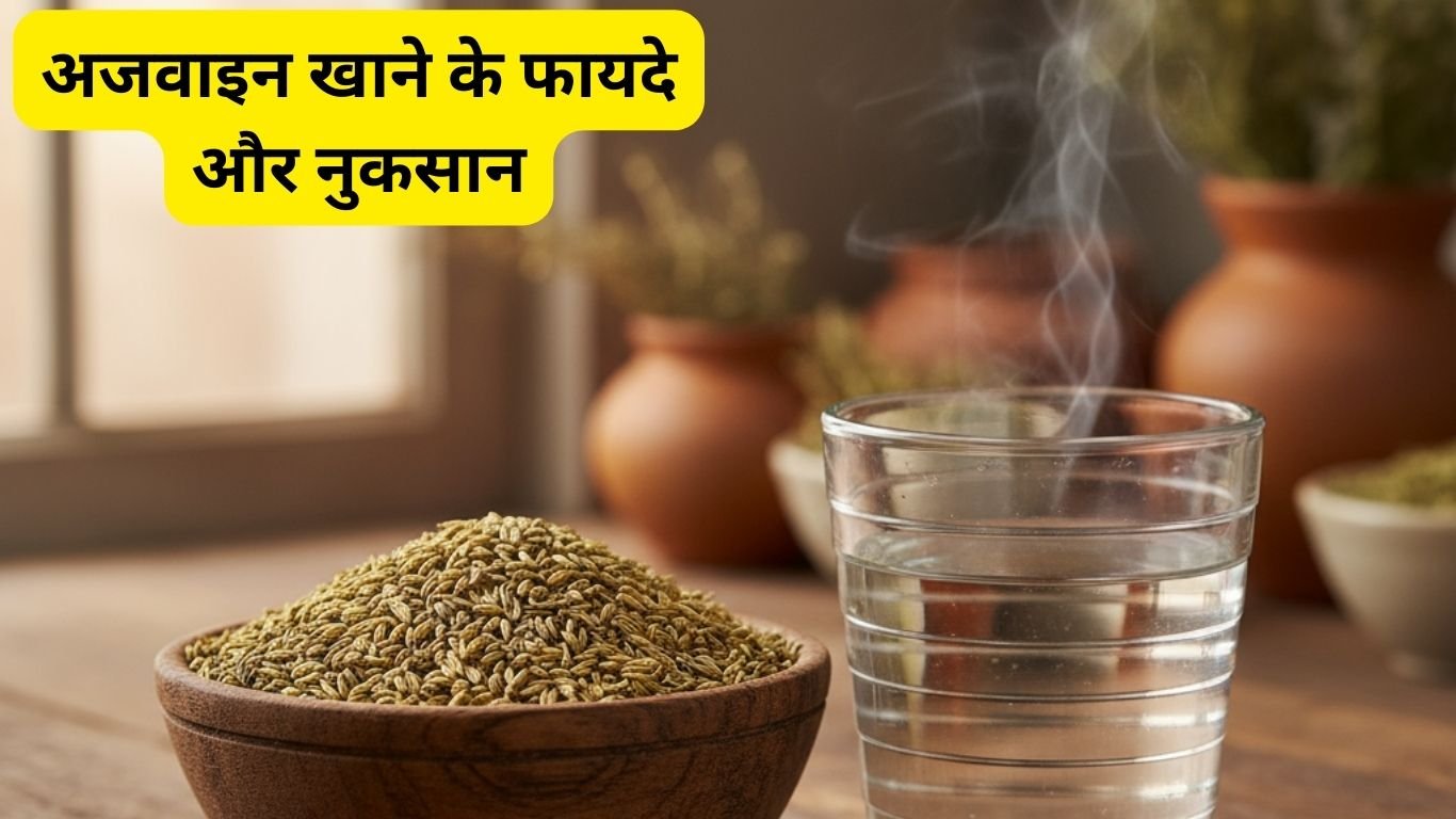 अजवाइन खाने के फायदे और नुकसान | Benefits and Side Effects of Ajwain.